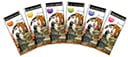 Production of museum pamphlets