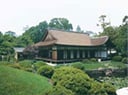 Friends of the Japanese House and Garden(Shofuso)(USA)